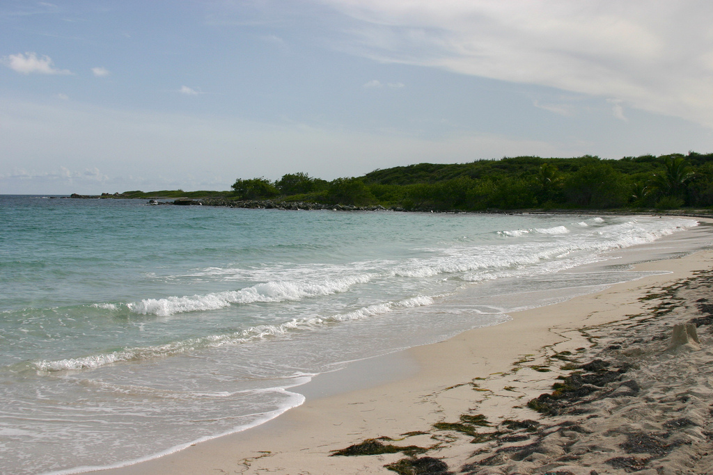 Пляж острова Вьекес в Пуэрто-Рико, фото 4