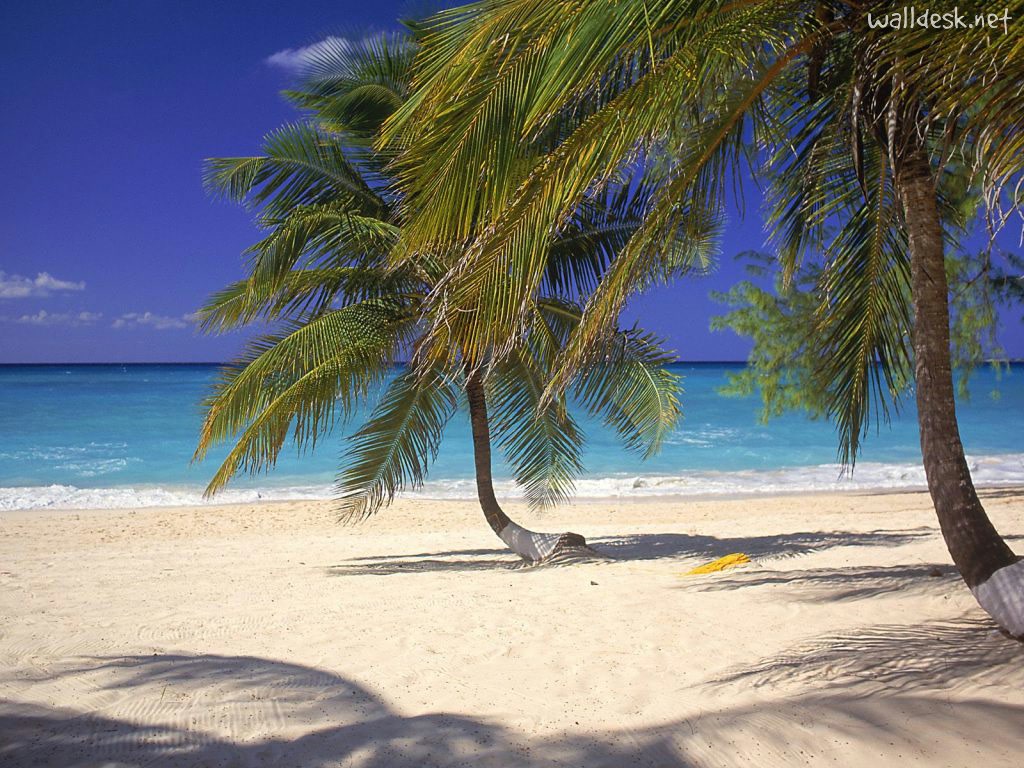 Пляж Севен Майл на Каймановых островах, фото 3