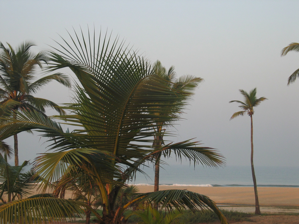 Пляж Варка в Индии, фото 4