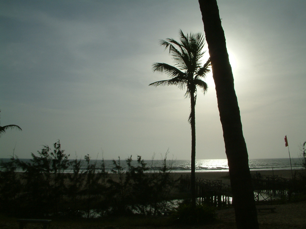 Пляж Варка в Индии, фото 5