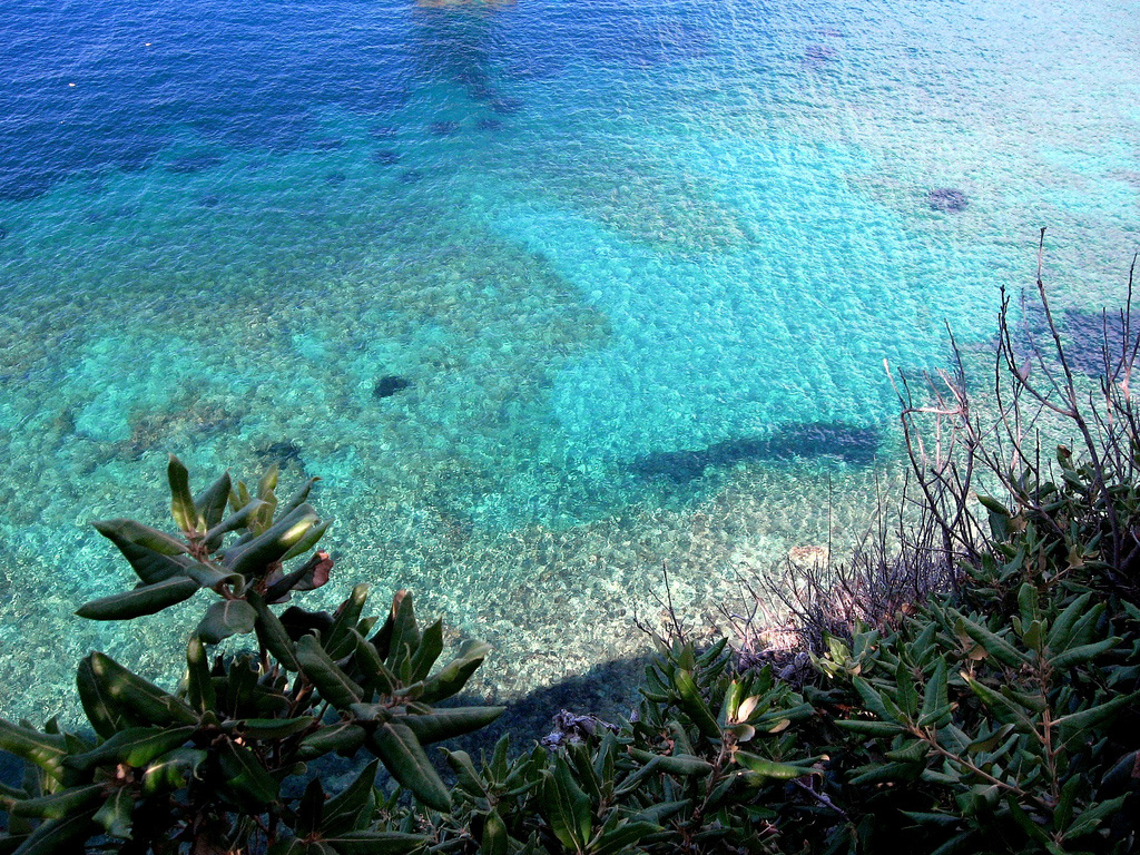 Остров Джилио в Италии, фото 11
