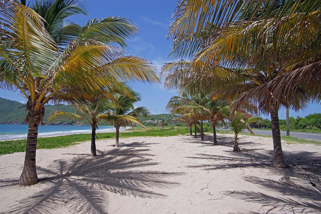 Остров Сент-Люсия на Карибах, фото 6