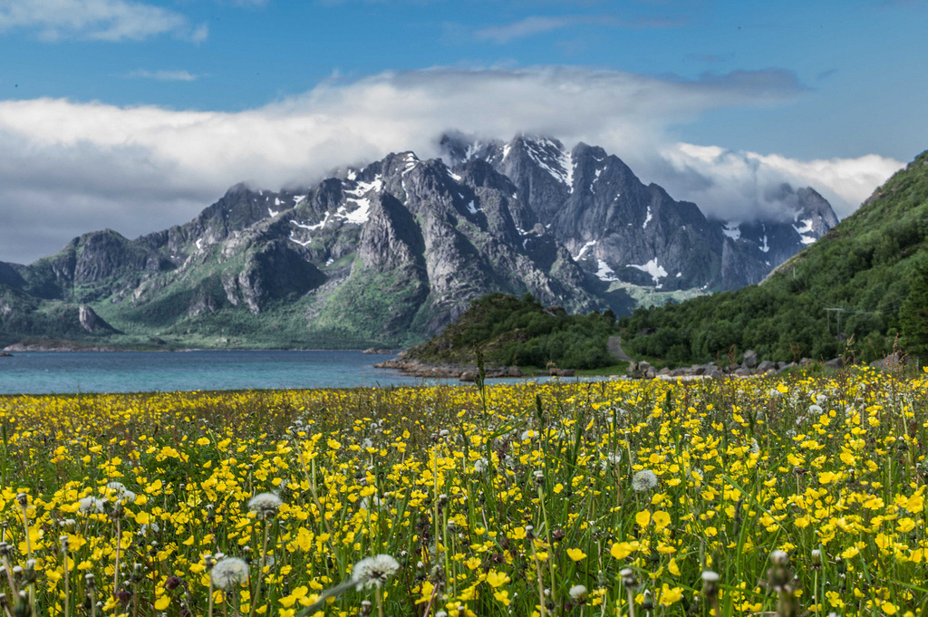 Лофотенские острова в Норвегии, фото 4