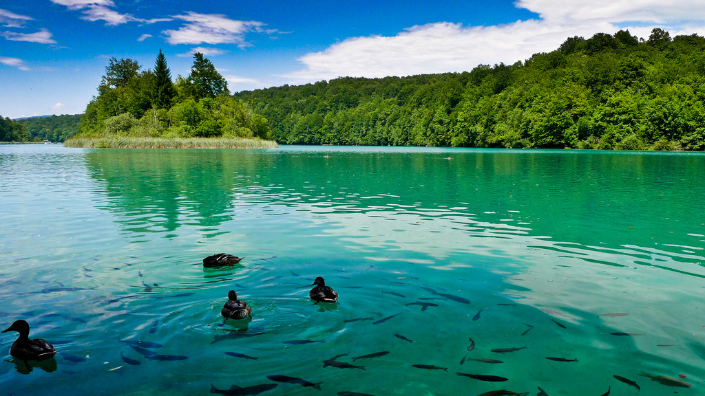 Плитвицкие озера в Хорватии, фото 4