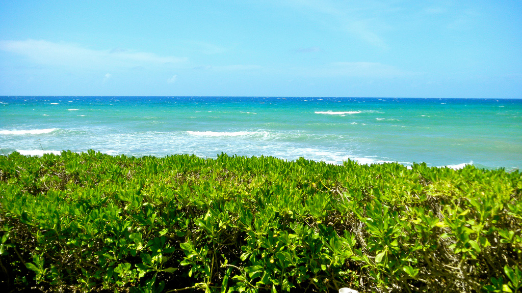 Пляж Монтего-Бэй на Ямайке, фото 1