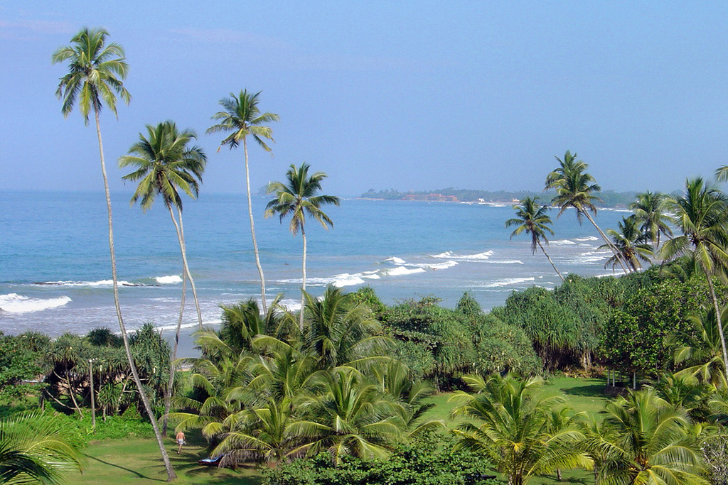 Пляж Тангалла в Шри-Ланке, фото 7