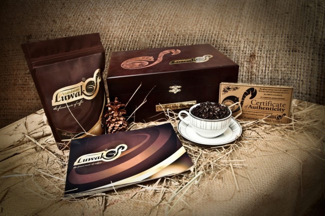 Кофе Kopi Luwak – самый дорогой кофе, полученный из экскрементов животных