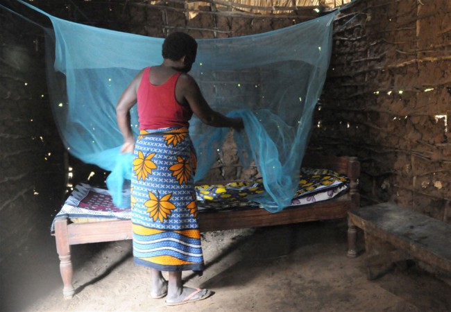 Один из способов борьбы с малярийным комаром – применение москитных сеток
