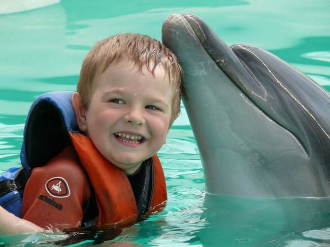 В Евпаторийскому дельфинарии поплавать и пообщаться с дельфинами может любой желающий