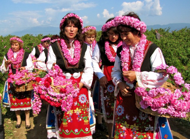 Праздник Розы – один из самых невероятных фестивалей в Болгарии, посвященный красоте цветов. Впервые его начали отмечать в 1903 г.