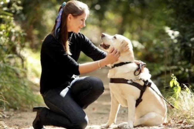 В штате Оклахома в США, запрещают трогать морду собаки.