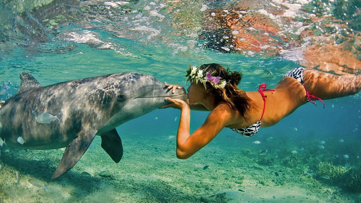 Дельфин и русалка, - нет, дельфин и человек – вот пара!